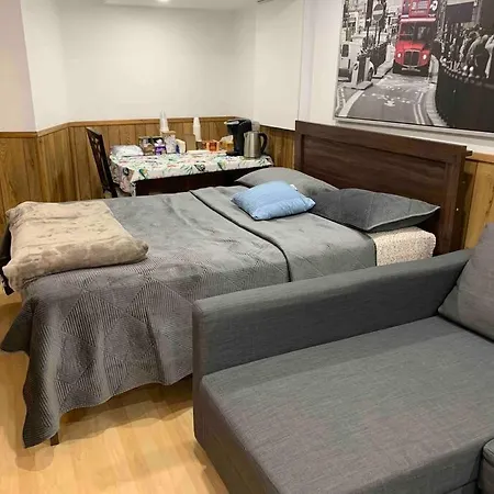 Big Oasis Studio Near Airport Yyz-3